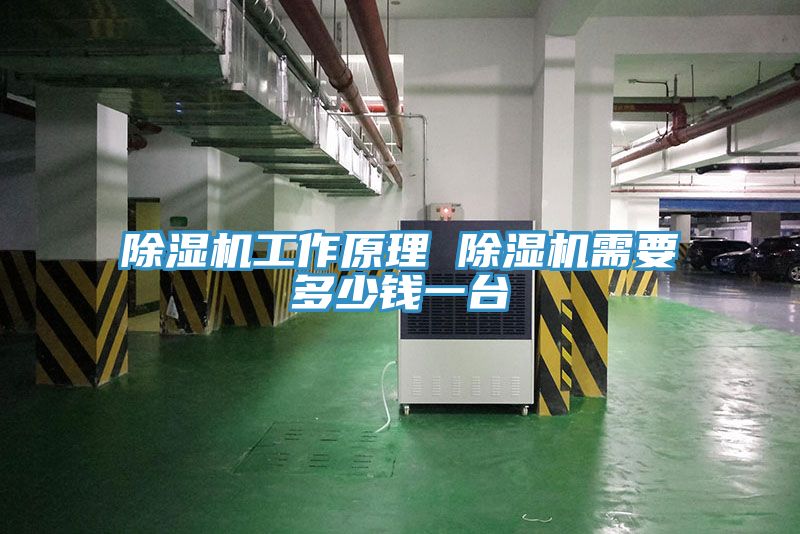 草莓视频污污污污工作原理 草莓视频污污污污需要多少錢一台