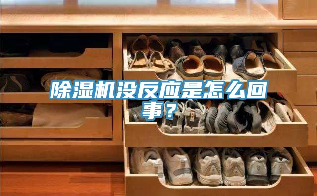 草莓视频污污污污沒反應是怎麽回事？