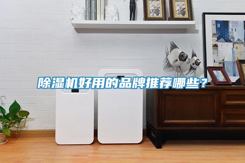 草莓视频污污污污好用的品牌推薦哪些？