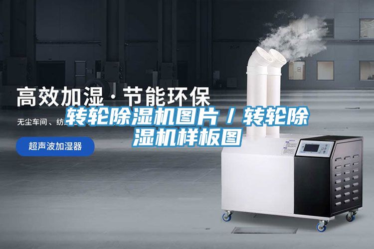轉輪草莓视频污污污污圖片／轉輪草莓视频污污污污樣板圖