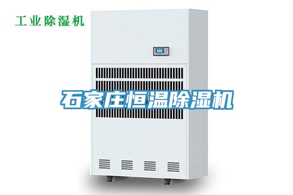 石家莊恒溫草莓视频污污污污
