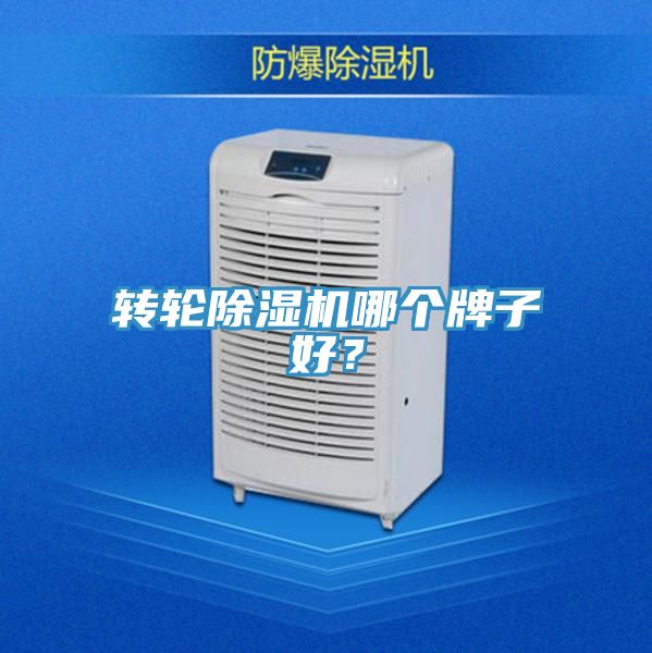 轉輪草莓视频污污污污哪個牌子好？
