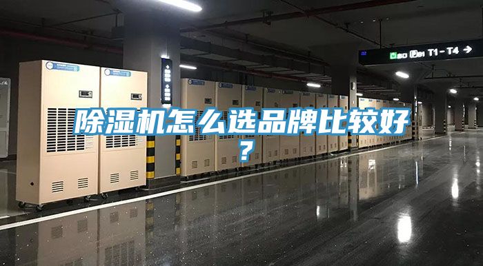 草莓视频污污污污怎麽選品牌比較好？