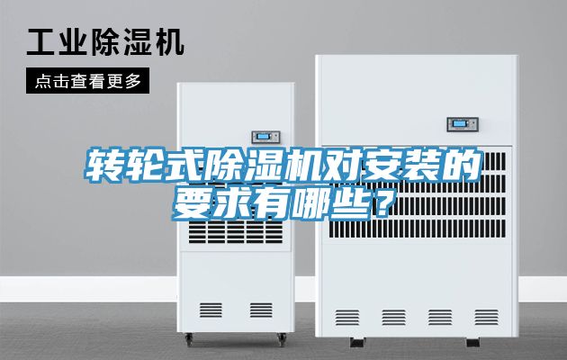 轉輪式草莓视频污污污污對安裝的要求有哪些？