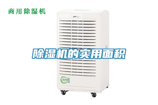 草莓视频污污污污的實用麵積