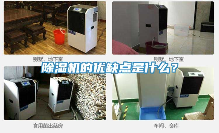 草莓视频污污污污的優缺點是什麽？