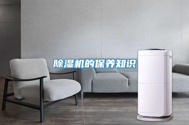 草莓视频污污污污的保養知識