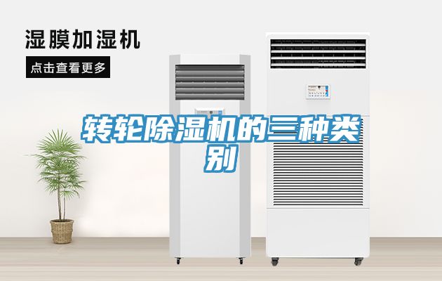 轉輪草莓视频污污污污的三種類別