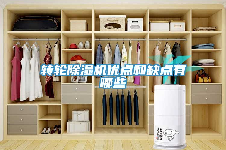 轉輪草莓视频污污污污優點和缺點有哪些