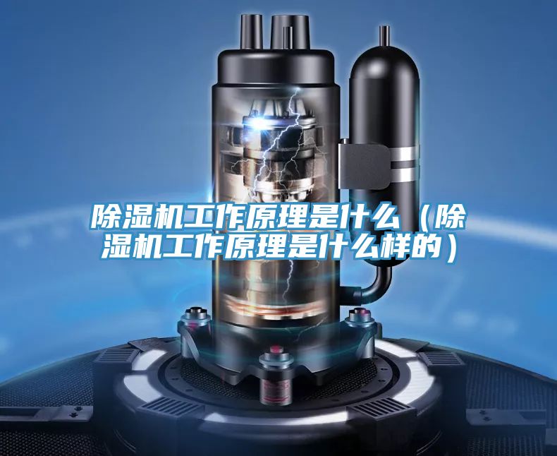 草莓视频污污污污工作原理是什麽（草莓视频污污污污工作原理是什麽樣的）