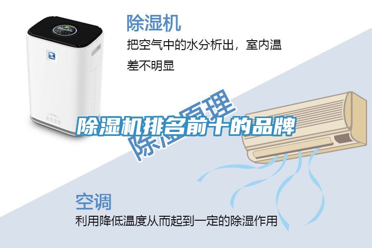 草莓视频污污污污排名前十的品牌
