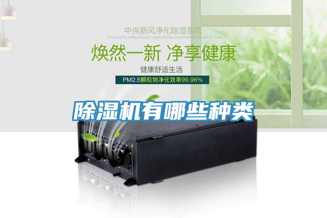 草莓视频污污污污有哪些種類