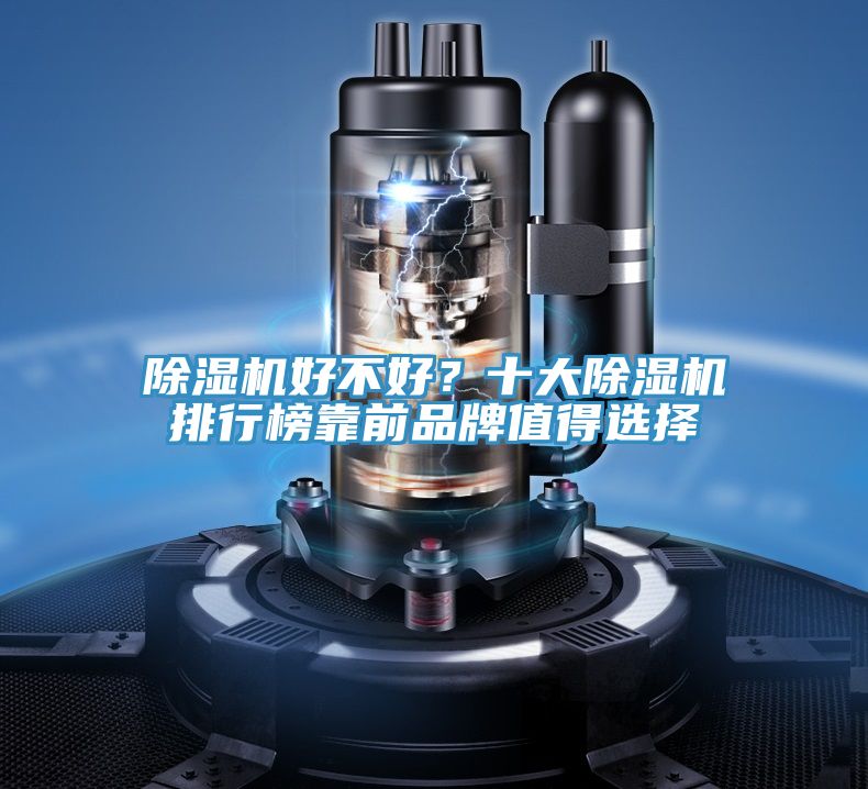 草莓视频污污污污好不好？十大草莓视频污污污污排行榜靠前品牌值得選擇