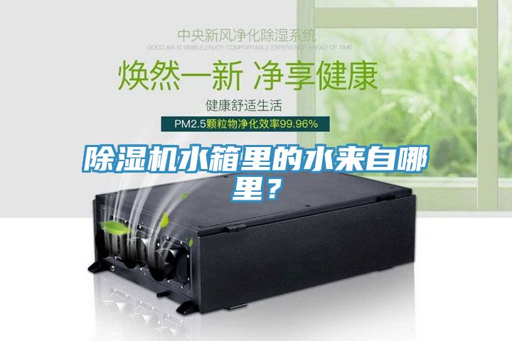 草莓视频污污污污水箱裏的水來自哪裏？
