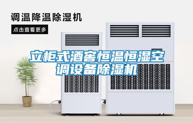 立櫃式酒窖恒溫恒濕空調設備草莓视频污污污污