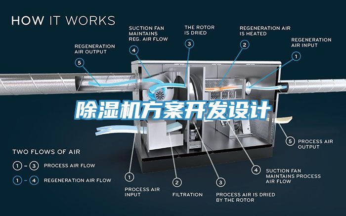 草莓视频污污污污方案開發設計
