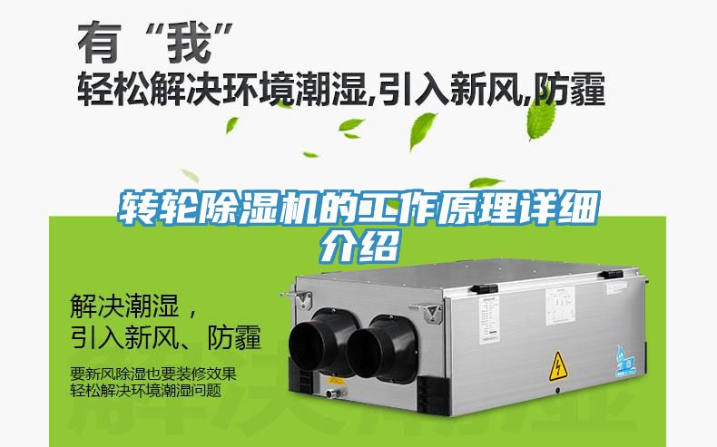 轉輪草莓视频污污污污的工作原理詳細介紹