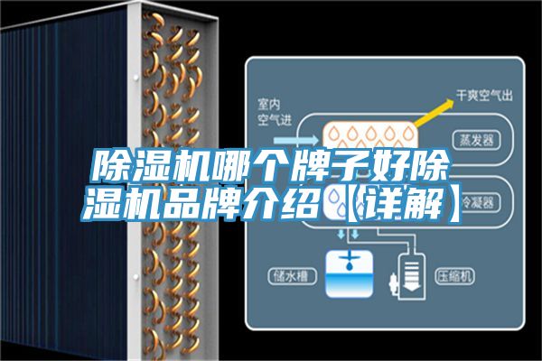 草莓视频污污污污哪個牌子好草莓视频污污污污品牌介紹【詳解】