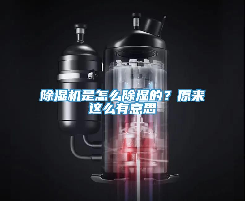 草莓视频污污污污是怎麽除濕的？原來這麽有意思