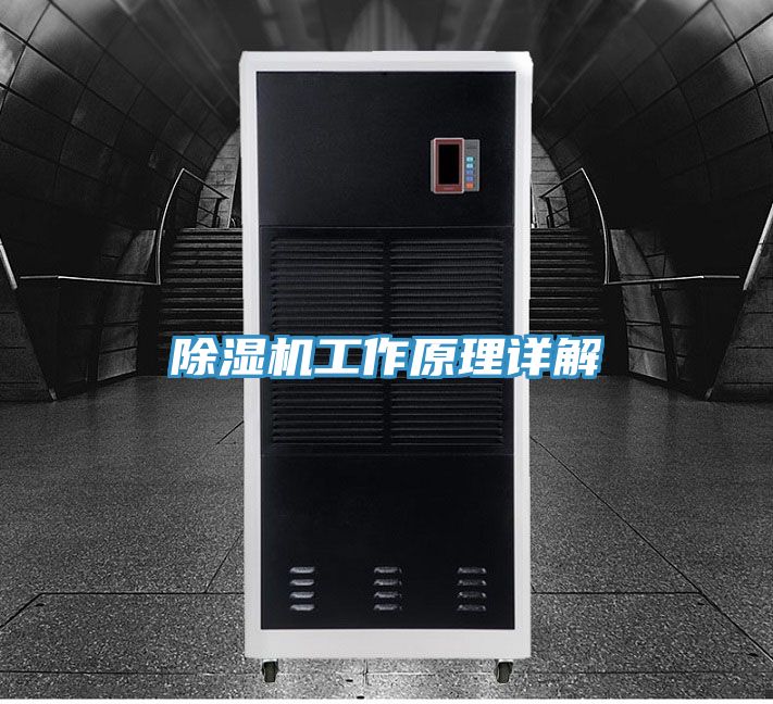草莓视频污污污污工作原理詳解