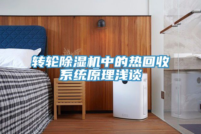 轉輪草莓视频污污污污中的熱回收係統原理淺談