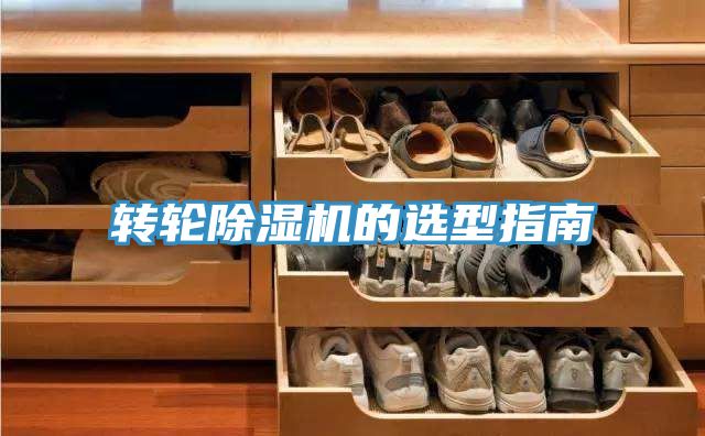 轉輪草莓视频污污污污的選型指南