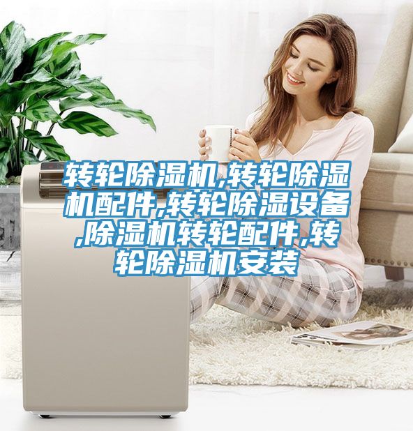 轉輪草莓视频污污污污,轉輪草莓视频污污污污配件,轉輪除濕設備,草莓视频污污污污轉輪配件,轉輪草莓视频污污污污安裝