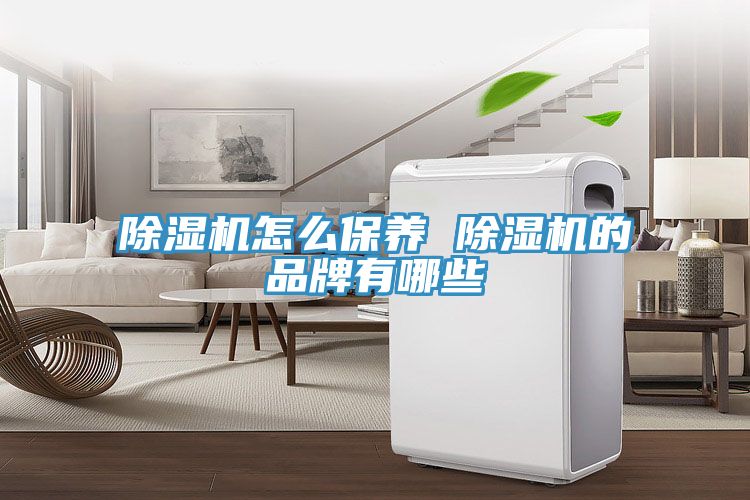 草莓视频污污污污怎麽保養 草莓视频污污污污的品牌有哪些