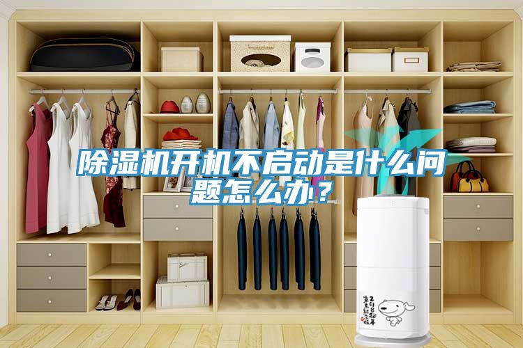 草莓视频污污污污開機不啟動是什麽問題怎麽辦？