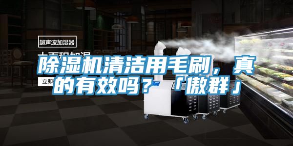 草莓视频污污污污清潔用毛刷，真的有效嗎？「傲群」