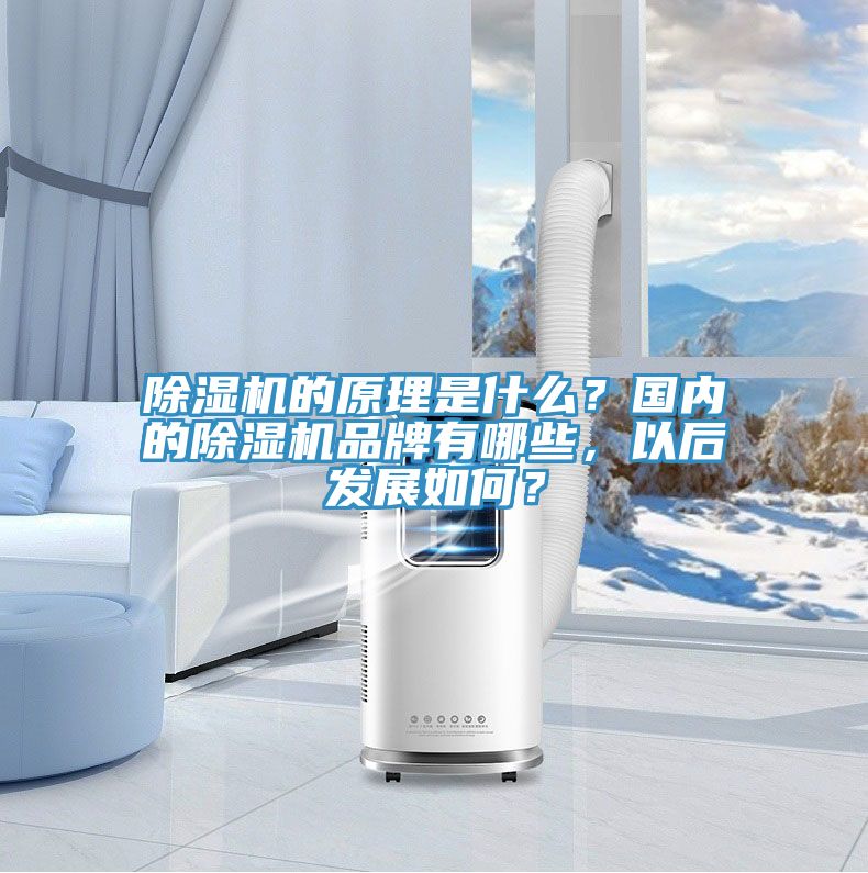 草莓视频污污污污的原理是什麽？國內的草莓视频污污污污品牌有哪些，以後發展如何？