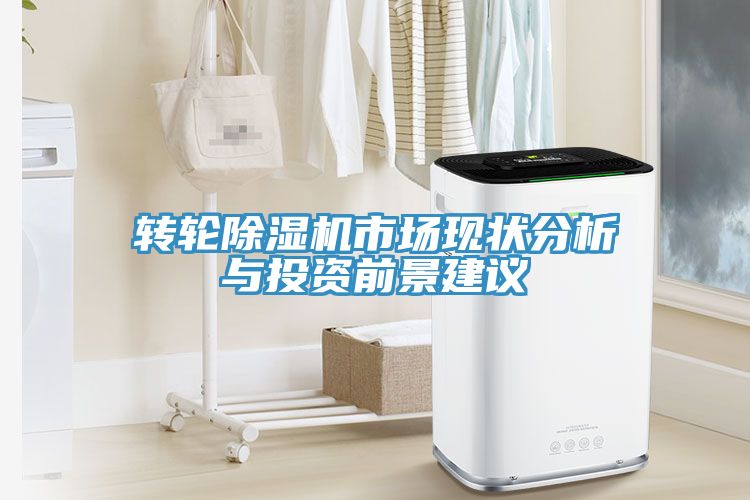 轉輪草莓视频污污污污市場現狀分析與投資前景建議