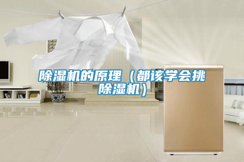 草莓视频污污污污的原理（都該學會挑草莓视频污污污污）