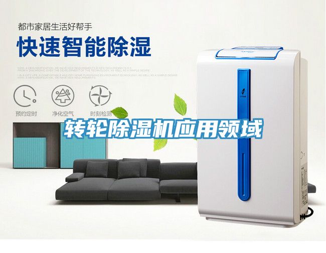 轉輪草莓视频污污污污應用領域