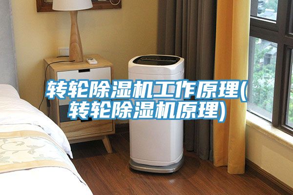 轉輪草莓视频污污污污工作原理(轉輪草莓视频污污污污原理)