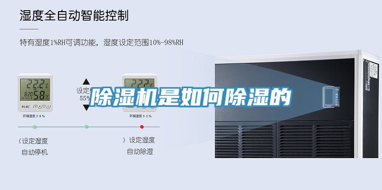 草莓视频污污污污是如何除濕的