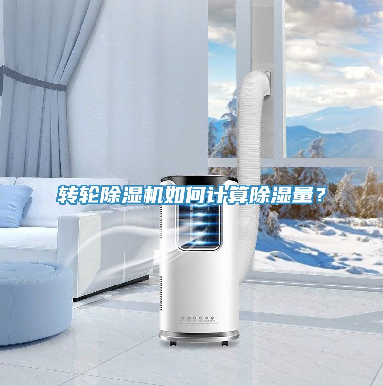 轉輪草莓视频污污污污如何計算除濕量？