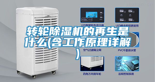 轉輪草莓视频污污污污的再生是什麽(含工作原理詳解)