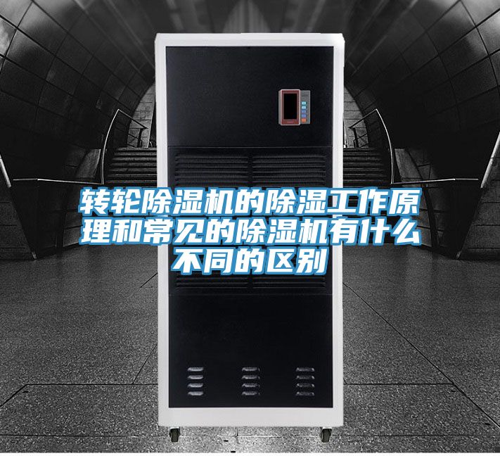 轉輪草莓视频污污污污的除濕工作原理和常見的草莓视频污污污污有什麽不同的區別