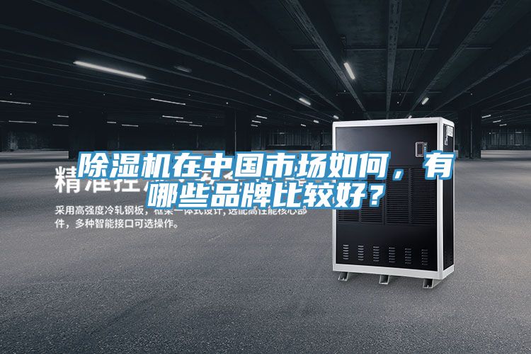 草莓视频污污污污在中國市場如何，有哪些品牌比較好？