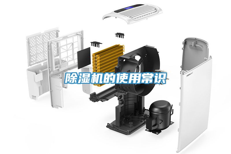 草莓视频污污污污的使用常識