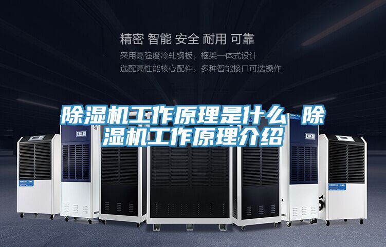 草莓视频污污污污工作原理是什麽 草莓视频污污污污工作原理介紹