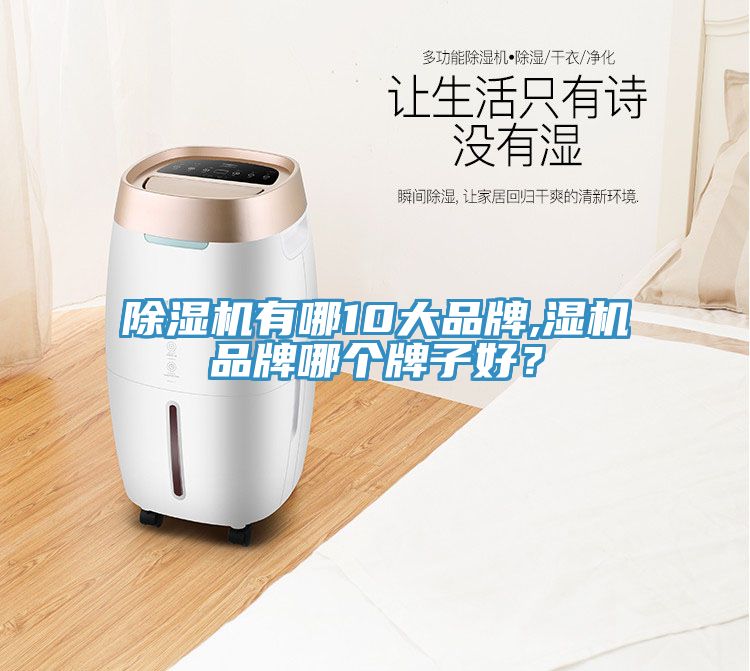 草莓视频污污污污有哪10大品牌,濕機品牌哪個牌子好？