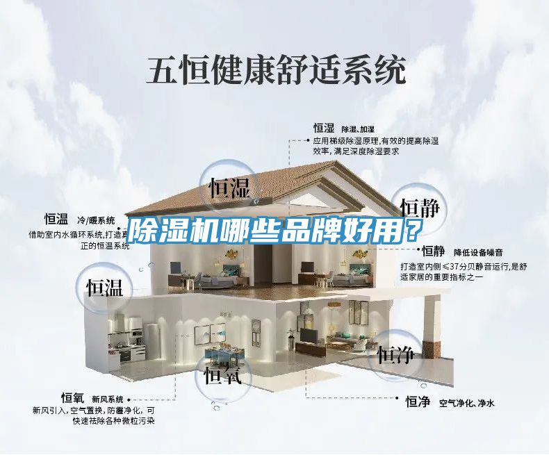 草莓视频污污污污哪些品牌好用？