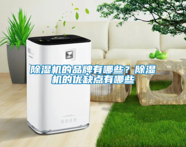 草莓视频污污污污的品牌有哪些？草莓视频污污污污的優缺點有哪些
