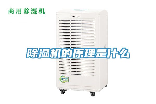 草莓视频污污污污的原理是什麽