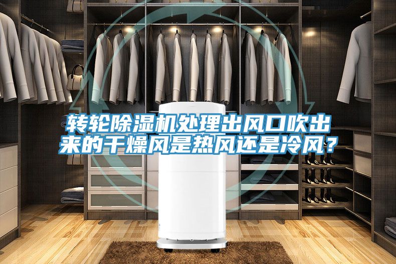 轉輪草莓视频污污污污處理出風口吹出來的幹燥風是熱風還是冷風？