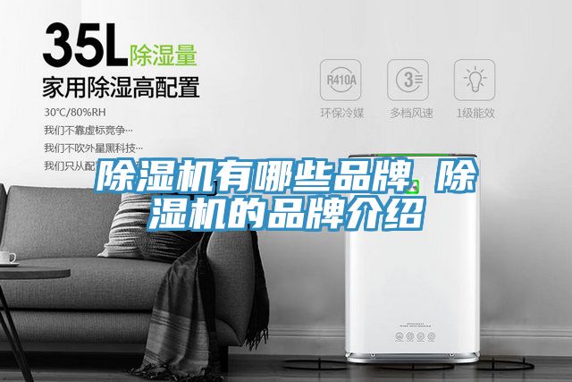 草莓视频污污污污有哪些品牌 草莓视频污污污污的品牌介紹