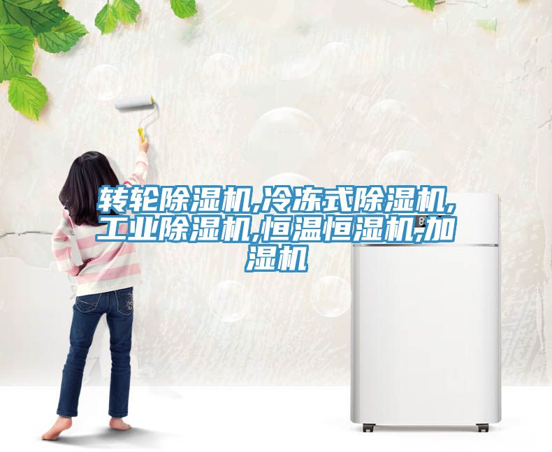轉輪草莓视频污污污污,冷凍式草莓视频污污污污,工業草莓视频污污污污,恒溫恒濕機,加濕機