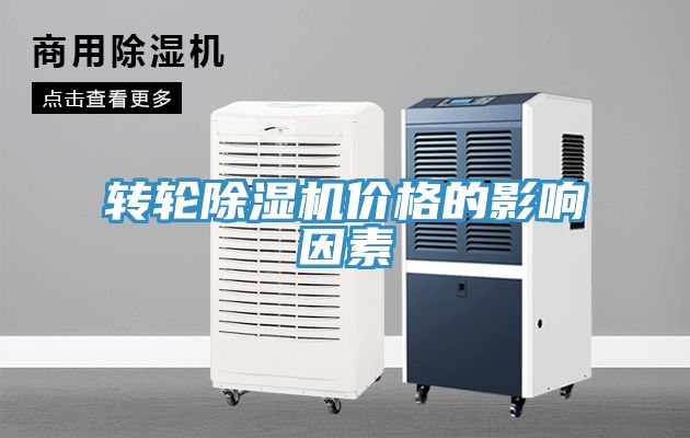轉輪草莓视频污污污污價格的影響因素